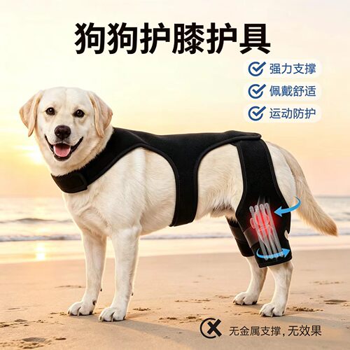 狗狗ACL后腿支撑韧带拉伤防护