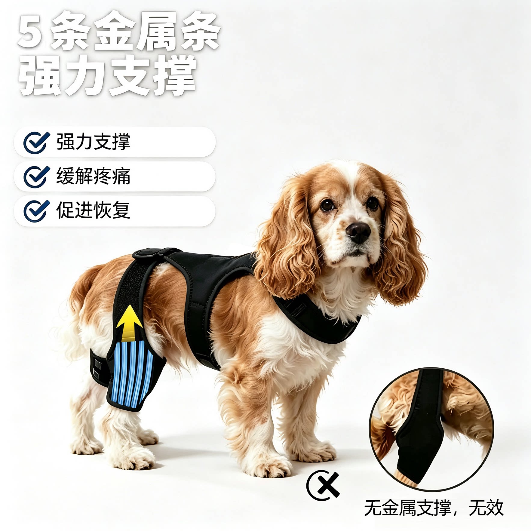 狗狗可卡犬护膝支撑后腿髌骨脱位