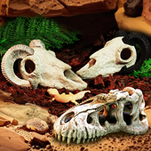 爬宠躲避屋乌龟晒台树脂头骨爬虫饲养箱造景装 饰蜥蜴守宫蝎子蜘蛛