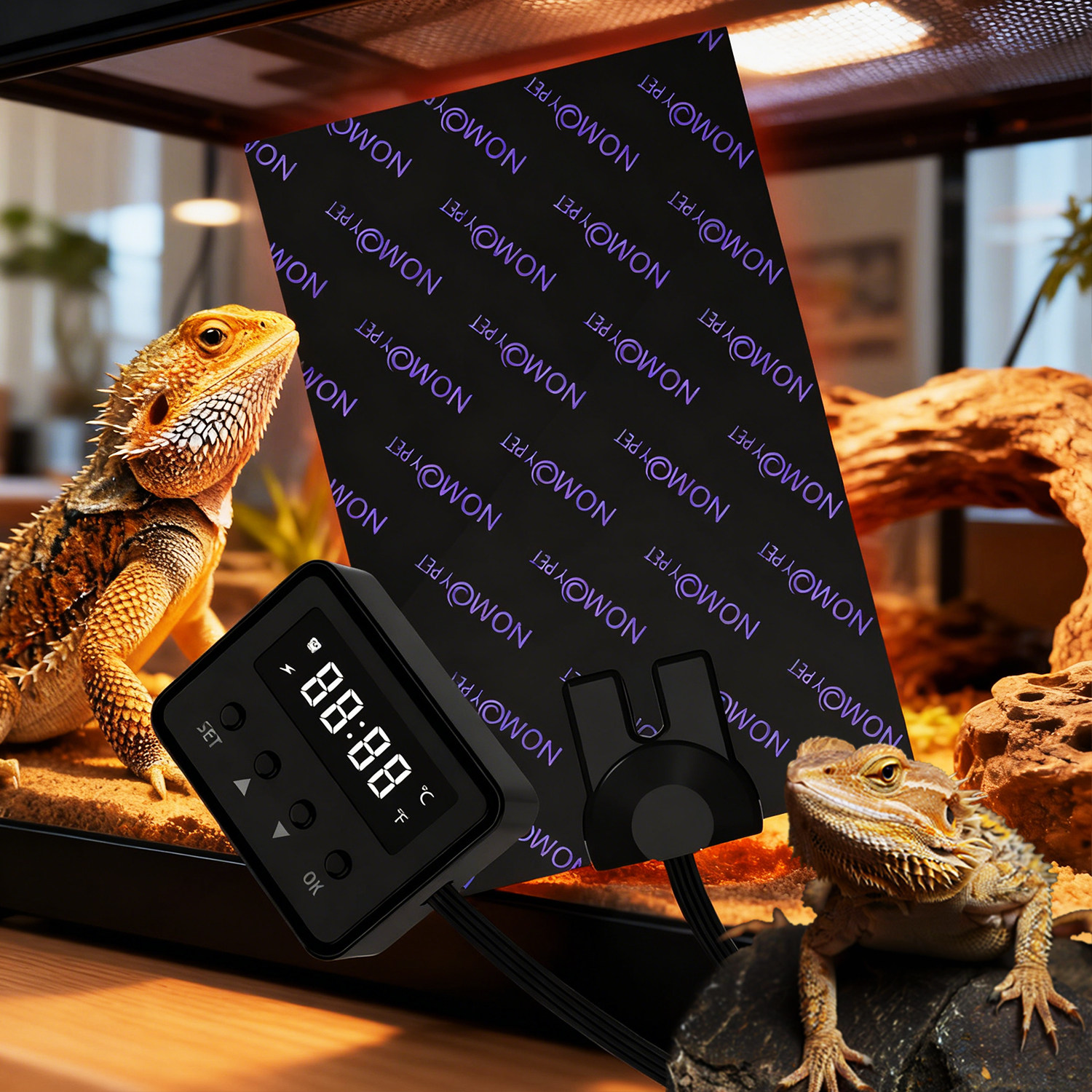 爬宠饲养箱加热垫温控可调温乌龟爬虫鬃狮蜥蜥蜴睫角守宫恒温过冬,宠物/宠物食品及用品,爬宠温控/湿度设备,淘宝优惠券,粉丝福利购,淘宝优惠卷