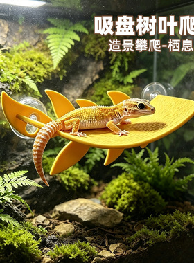吸盘树叶攀爬台爬宠躲避屋蛇树蛙睫角守宫蜥蜴饲养箱生态造景装饰