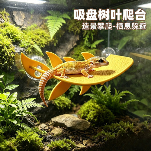吸盘树叶爬宠躲避屋饲养生态造景