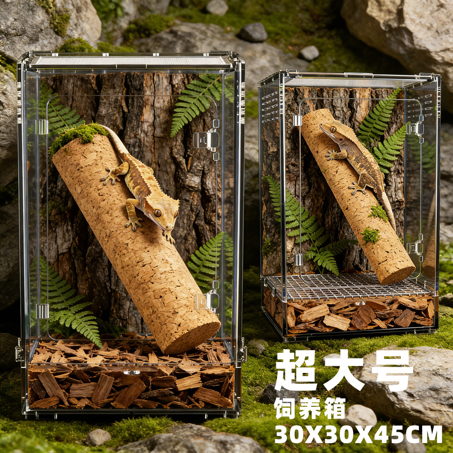 超大号爬宠透明亚克力饲养箱蜥蜴蛇睫角守宫爬虫缸生态蜗牛养殖盒