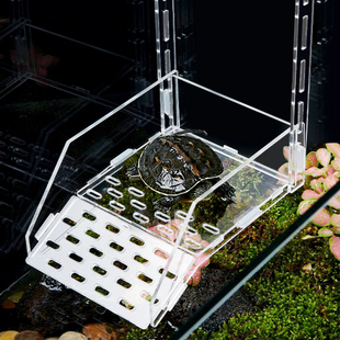 养乌龟晒背台躲避屋造景爬宠亚克力壁挂式爬梯休息高水位爬台爬坡