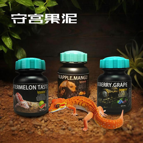 睫角守宫水果泥爬虫补充营养粮食
