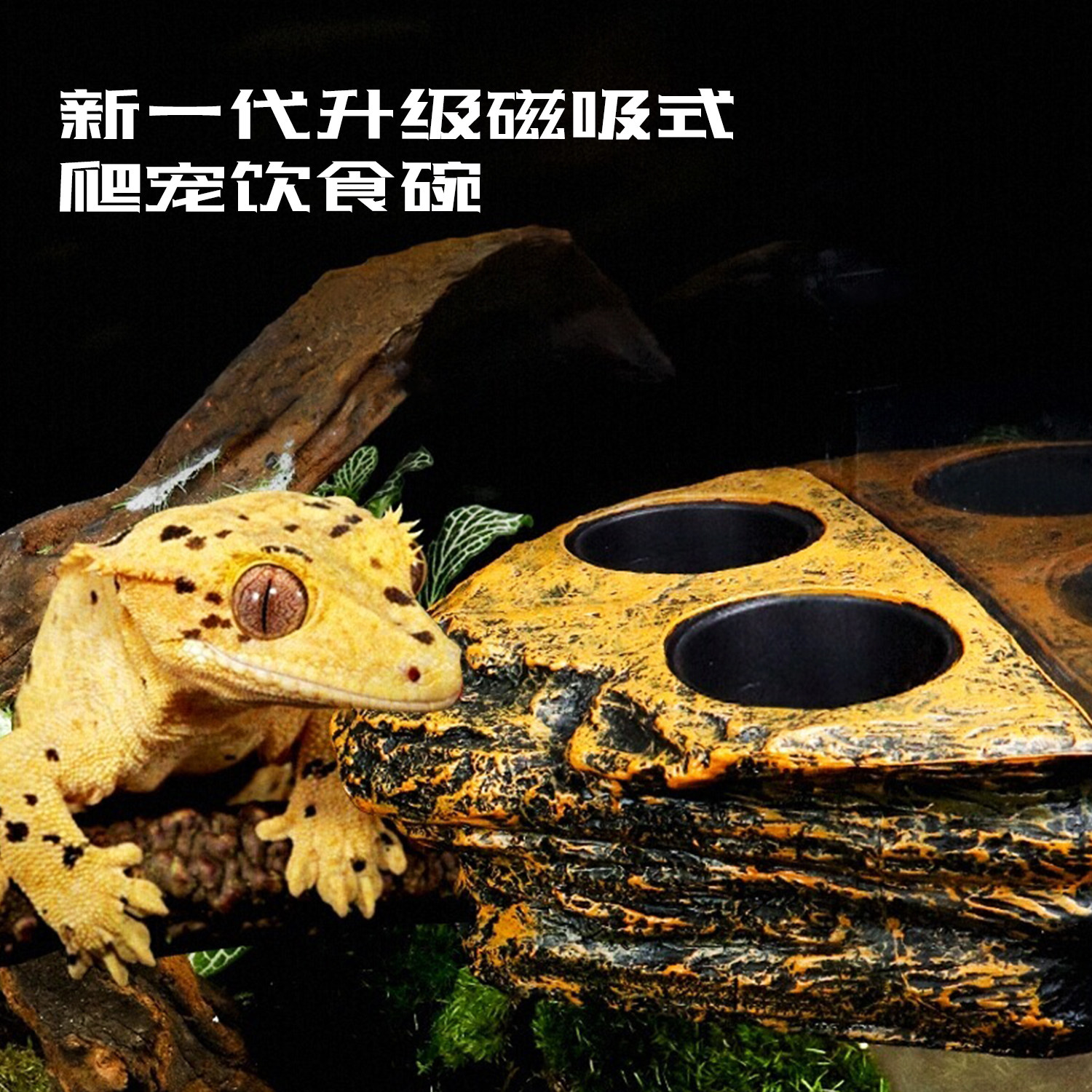 爬宠喂食盆果泥食盆爬虫睫角守宫水盆蜥蜴蛇树脂造景树栖甲虫食台,宠物/宠物食品及用品,爬宠清洁及日用品,淘宝优惠券,粉丝福利购,淘宝优惠卷