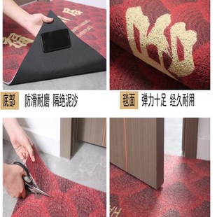 免洗入户门地垫丝圈n地毯家用进门门口门外门垫进户门除尘脚垫