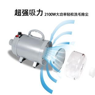 宠物吹风机超静音大型犬吹水C机猫咪烘干箱家用吹毛神器