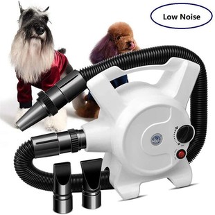 宠物吹c风机无极调速猫狗吹风机大功率狗狗自动烘干机 新品