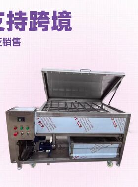 跨境专供大枣加工流水线车厘子果蔬清洗机夏威夷果设备采购木箱包
