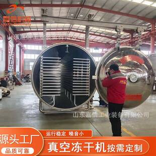 商用宠物粮冻干设备鸡胸肉颗粒真空冻干机三文鱼真空冷冻干燥机