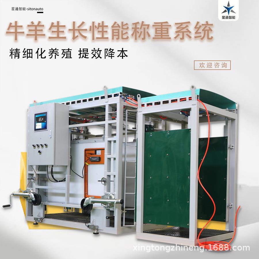 肉牛养殖管理设备全自动称重分群数据自动记录保存可上传云端