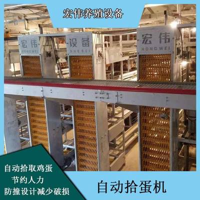 荥阳产地销售大型捡蛋装置养殖场可用自动化收蛋设备蛋鸡笼养
