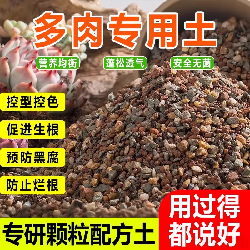 多肉专用颗粒土营养土泥炭土纯颗粒多肉肉透气疏松土壤种植土花土