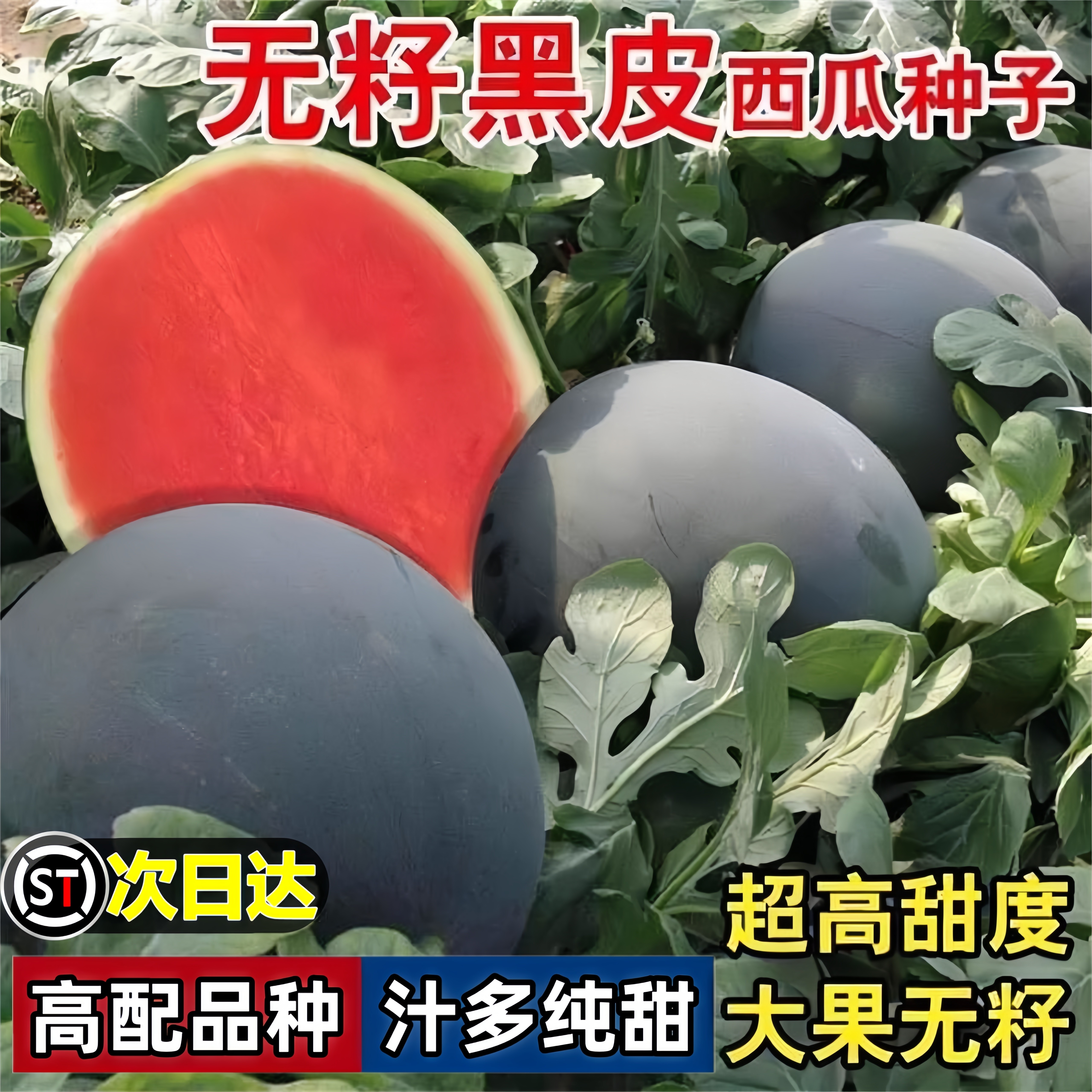 【高配品种】黑皮红壤西瓜种籽麒麟瓜无籽种子孑嫁接苗甜瓜大全脆