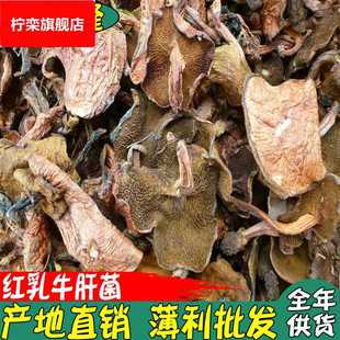 火锅熬汤菌 乳牛肝干品 产地干菌野生 红乳牛肝菌