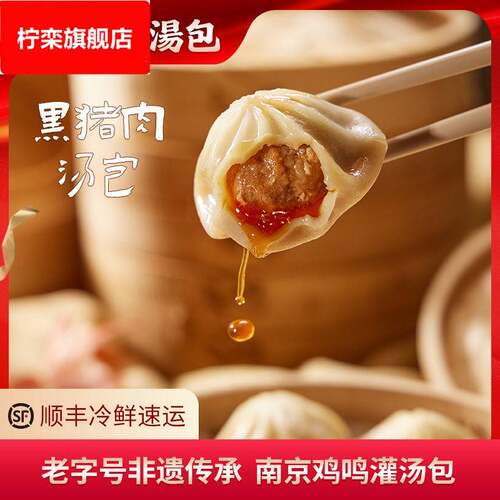 南京鸡鸣汤包黑猪肉小笼包早餐速食半成品包子懒人预制冷冻灌汤包