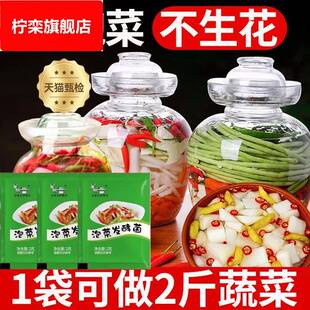 泡菜发酵菌韩式 辣白菜四川泡菜菌家用自制酸菜发酵粉泡菜乳酸菌粉
