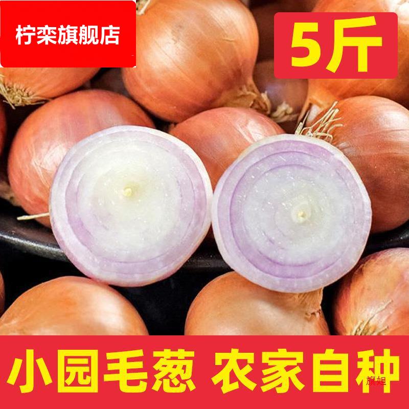 东北产毛葱农家小园自种小毛葱蘸酱毛葱大毛葱头新鲜5斤包邮
