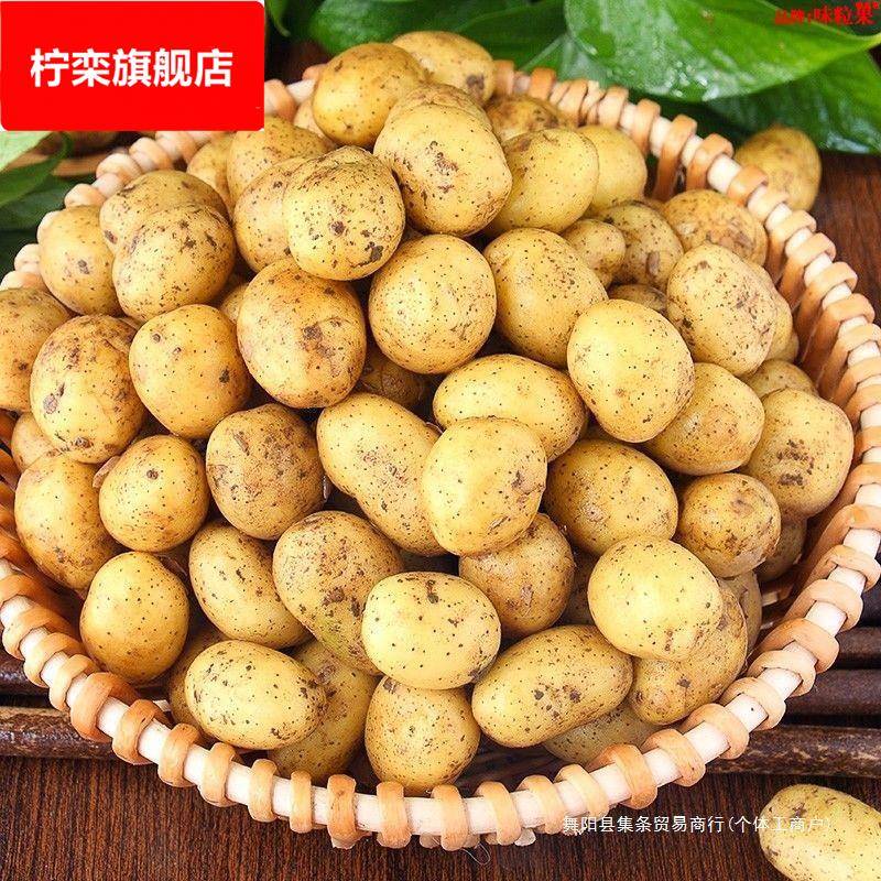 §湖北现挖恩施富硒小土豆新鲜黄心土豆批农家自种洋芋马铃薯粉糯