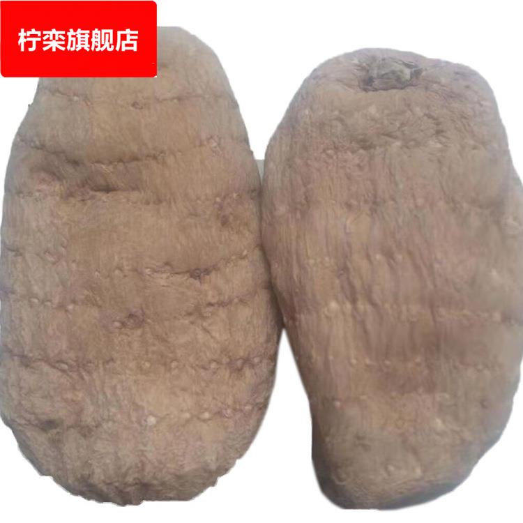 云南昭通小草坝全干天麻个大小足头高原无酸味杂质形状佳产地直发