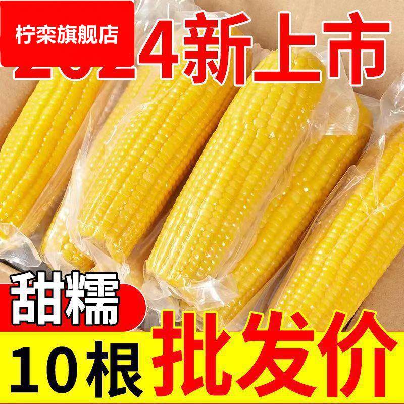 10根24年头茬黄糯玉米整箱真空独立包装低脂代餐包邮黄玉米常温
