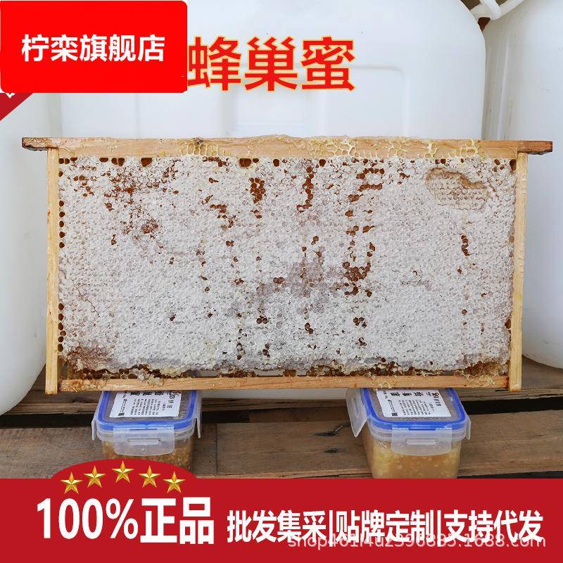 农家自产新鲜蜂巢蜜500g成熟全封盖荆条蜂巢蜜山花蜂蜜土特产