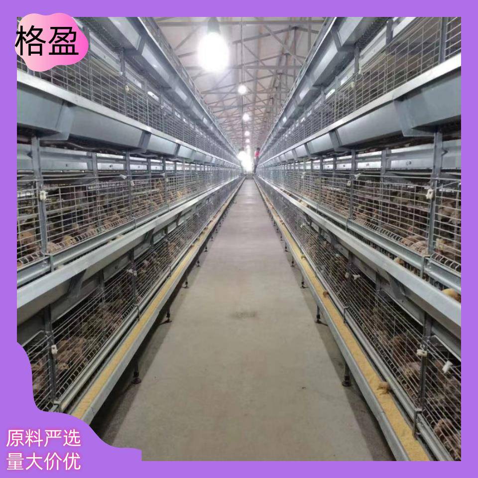 青年鸡笼立式自动化养殖设备养殖场养鸡场养鸡笼鸽子笼鹌鹑笼
