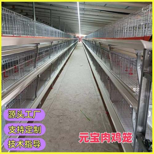 四层自动化肉鸡笼元宝型肉鸡笼框架式养鸡设备源头生产厂家批
