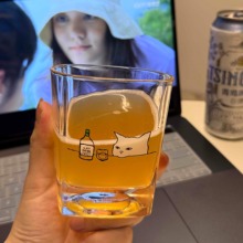 网红爆款猫咪水杯夏日新款2025高颜值ins风酒水家用玻璃杯男女士