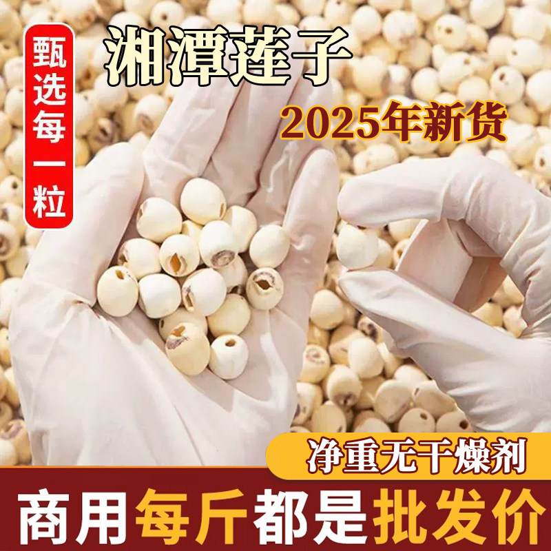 湖南湘潭莲子干货500g袋装特级去芯无硫磨皮白莲籽煮粥煲汤批发,粮油调味/速食/干货/烘焙,莲子,淘宝优惠券,粉丝福利购,淘宝优惠卷