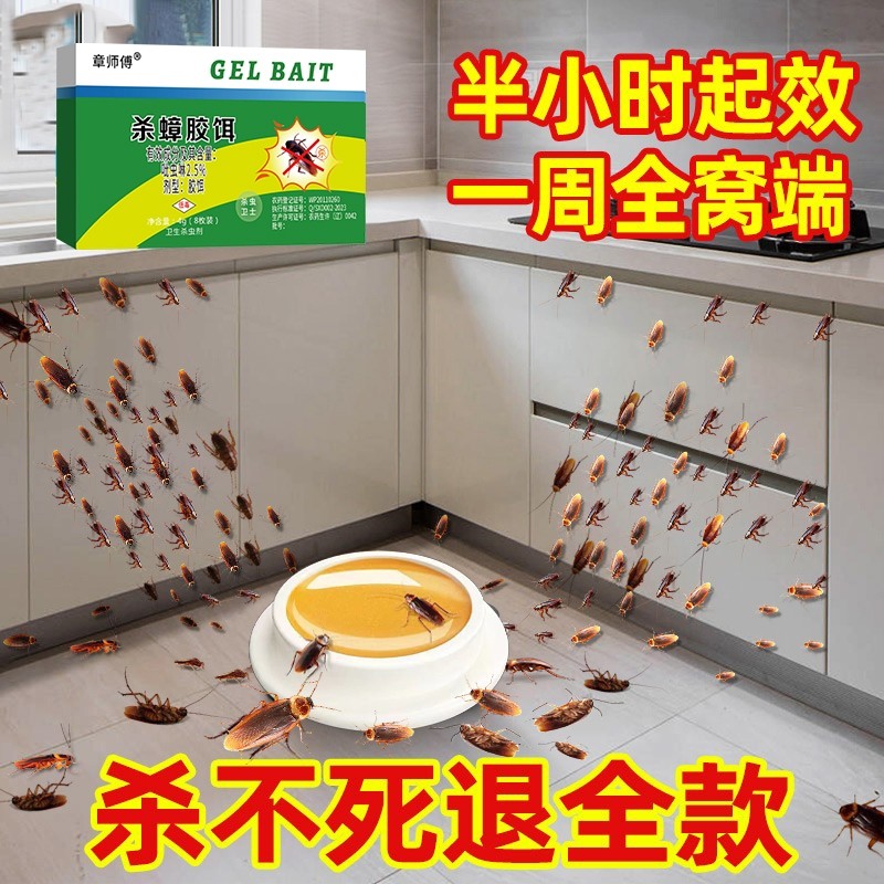 灭蟑螂药家用杀蟑胶饵剂贴屋全窝端非无毒孕妇婴儿神器杀蟑螂蚂蚁