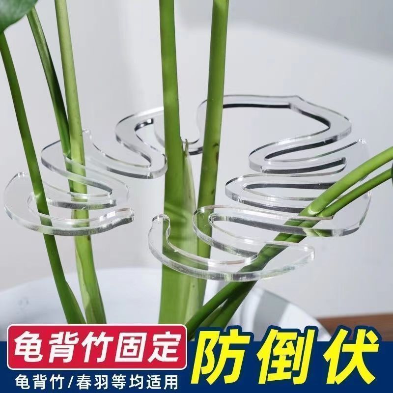龟背竹支撑杆花支撑架枝干收拢架植物防倒伏支架绿植固定神器花架