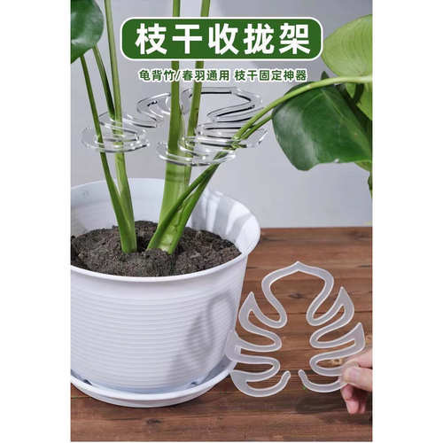 龟背竹支撑杆花支撑架枝干收拢架植物防倒伏支架绿植固定神器花架