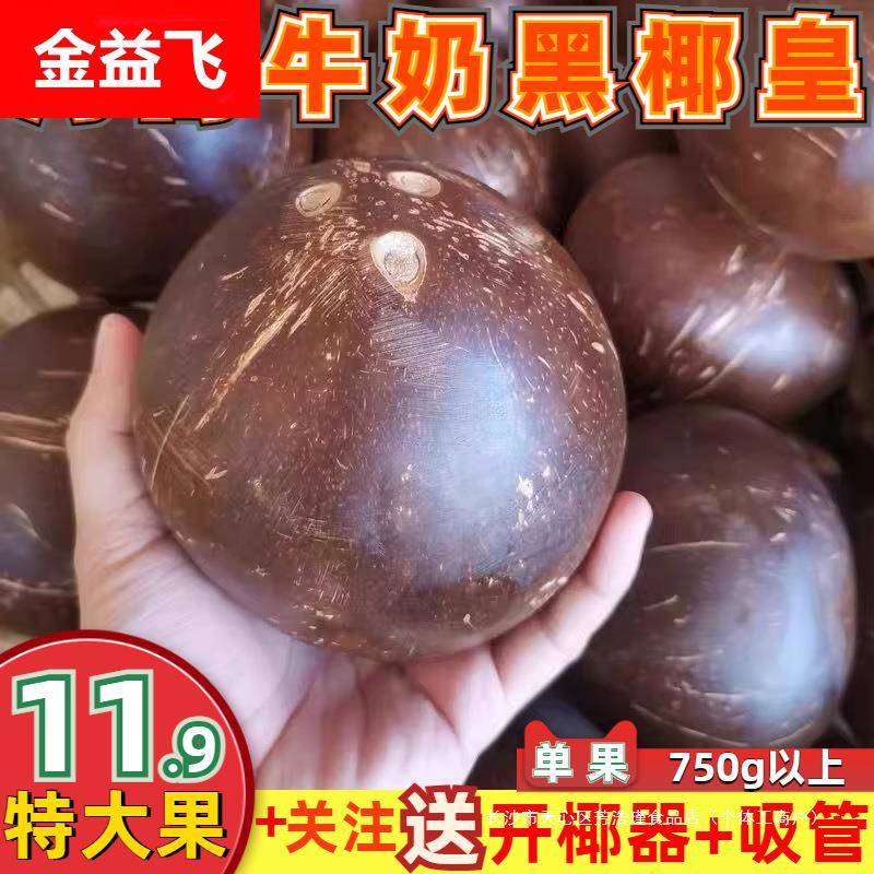 椰皇精选特大果新鲜海南老椰子煲黑鸡肉汤整箱9个 孕妇水果汁水多