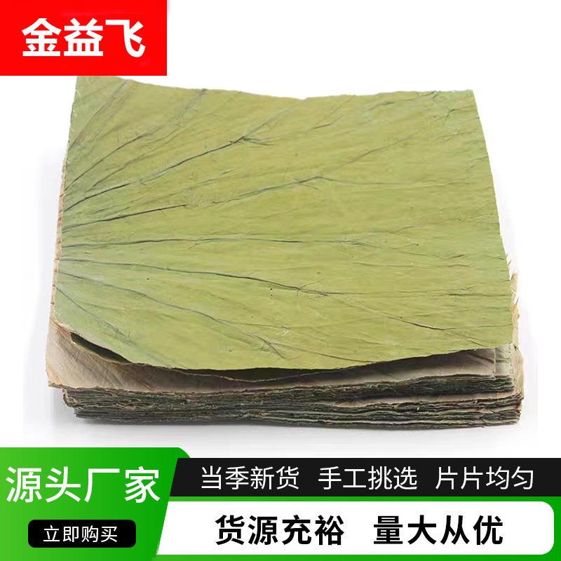 山东济宁微山湖荷叶整张新鲜商用蒸饭荷叶鸡 糯米鸡专用方形荷叶