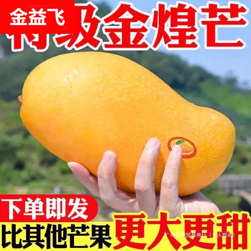 海南金煌芒9斤芒果一级大果新鲜水果现摘青甜心黄皮整箱包