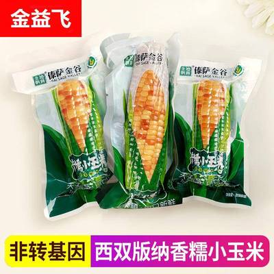 傣萨金谷云南西双版纳香糯小玉米新鲜开袋即食真空花甜糯玉米代餐