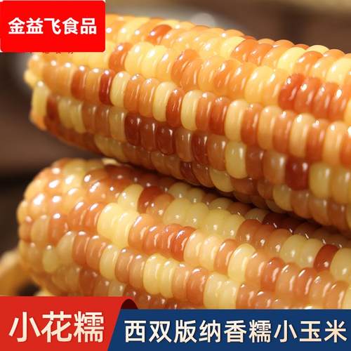 云南西双版纳香糯小玉米小花糯玉米新鲜现摘即食真空装甜玉米棒子