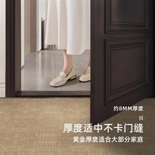 仿剑麻入b户门地垫进门口地毯玄关防滑耐脏脚垫室内门外可裁剪垫