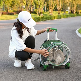 宠物拉杆箱猫包透明外出便捷狗狗太空舱猫M咪大容量双肩背包行李