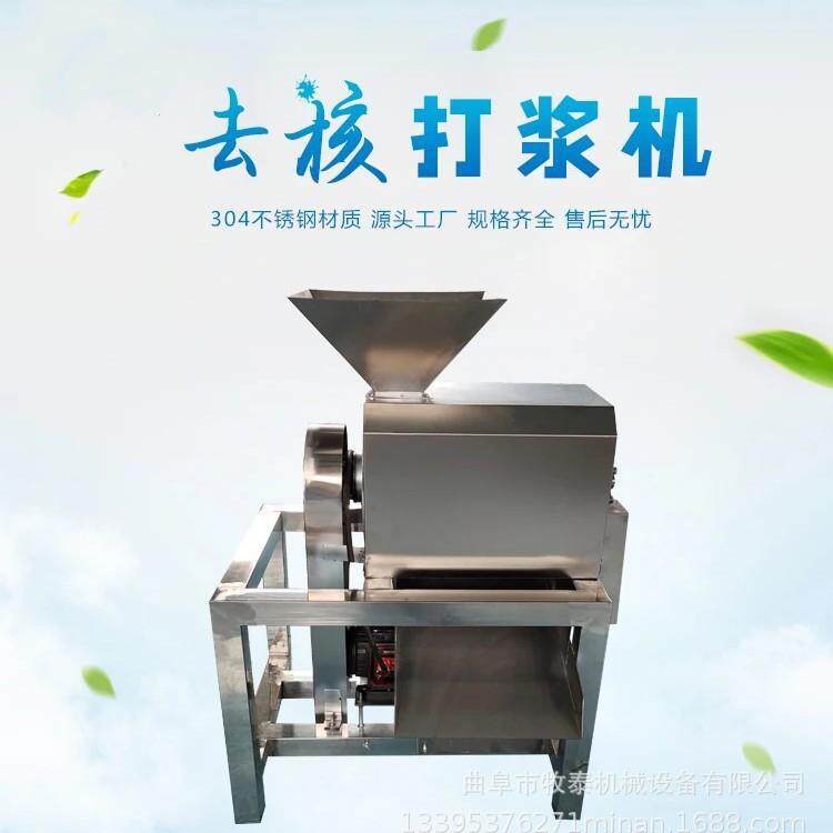 大型工业芒果去核果浆机葡萄不锈钢卧式去核机橄榄芒果去核打泥机