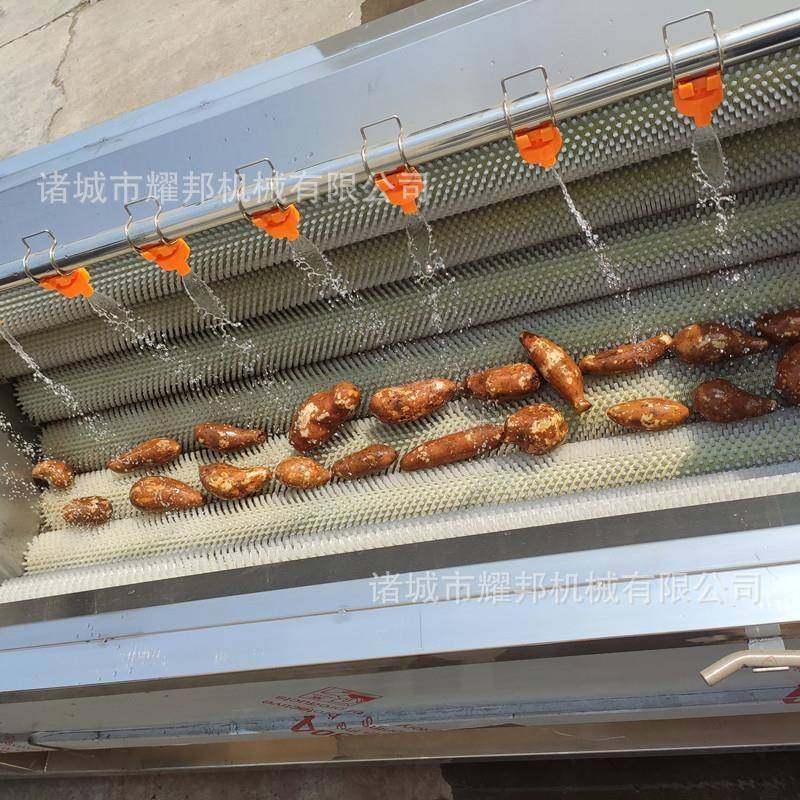 全自动黄精清洗机 不锈钢毛刷式天麻清洗机 大型中药材清洗机,清洗/食品/商业设备,果蔬加工设备,淘宝优惠券,粉丝福利购,淘宝优惠卷