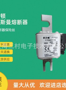 全新原装快速熔断器保险丝170M3116 170M3117 170M3118 170M3119