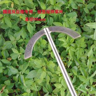 挂壁式 圆底烧瓶反应釜316不锈钢搅拌桨316圆弧底版 可定制图片有货