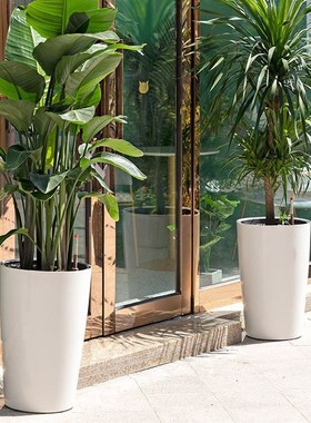 厂家直销自吸水租摆花盆万年青天堂鸟白色圆形落地特大号简约花盆