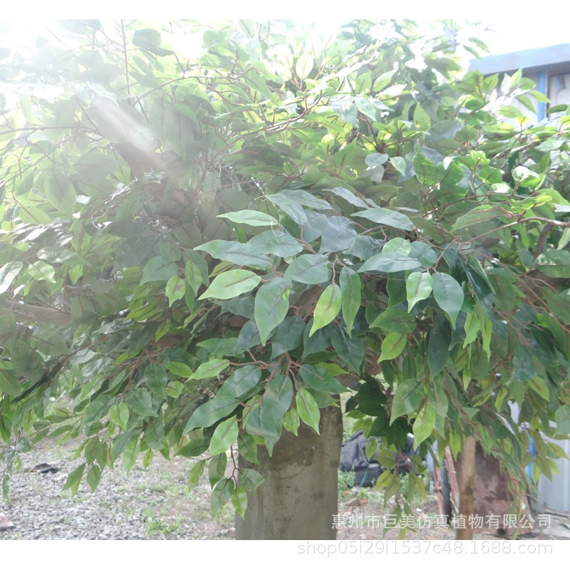 厂家包柱榕树 仿真古榕树 玻璃钢假榕树 大型室内外人造榕树