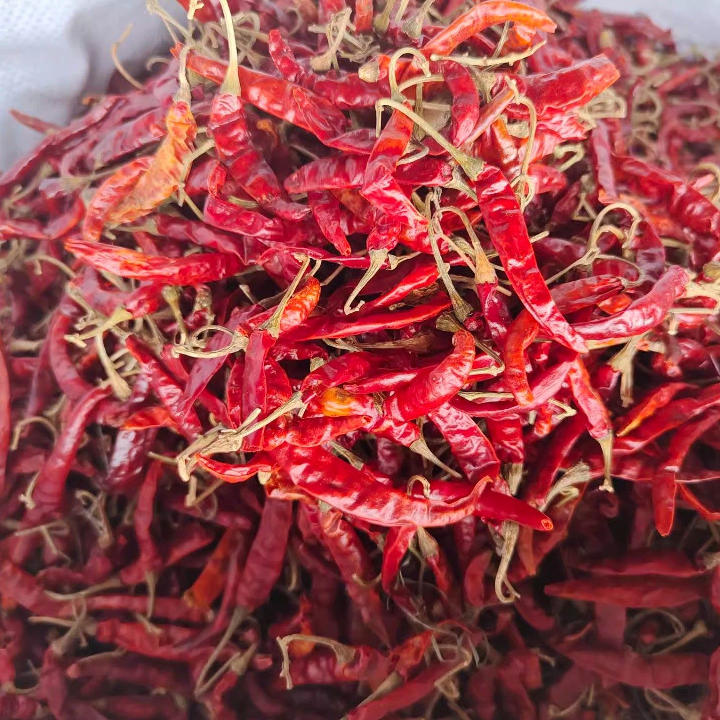 印度进口特辣干辣椒王500克 炒菜火锅卤菜酒店餐饮家用特干辣椒王