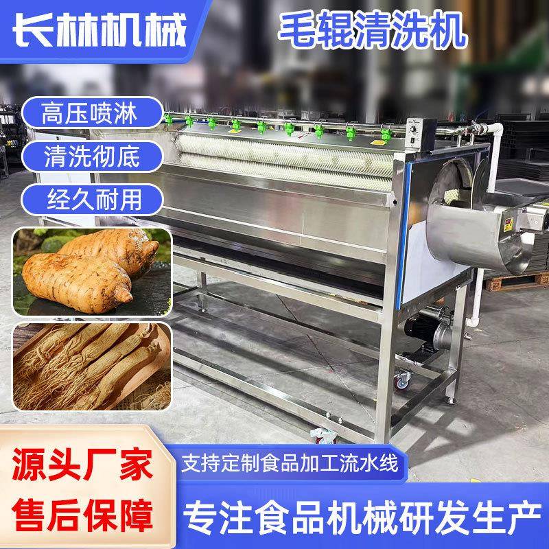 商用不锈钢中草药毛刷清洗机人参清洗设备天麻去泥毛辊清洗机