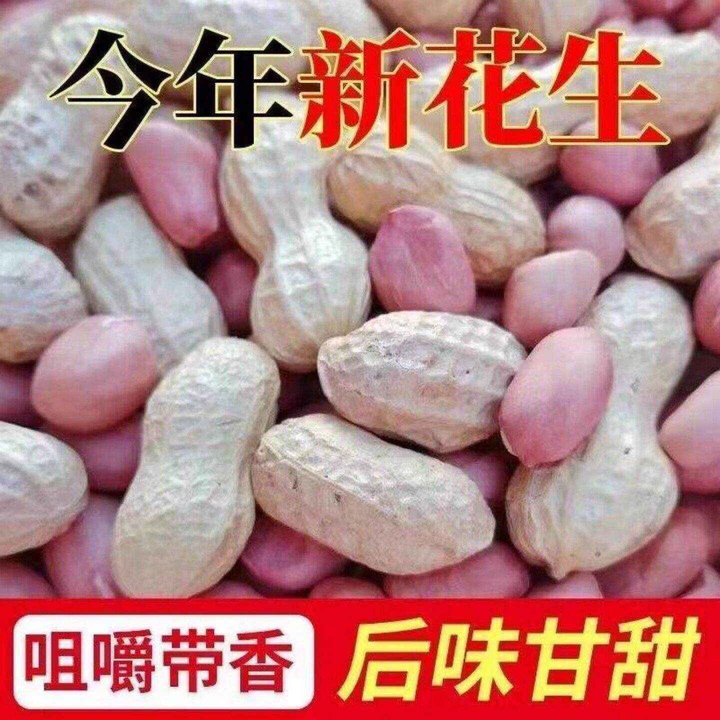 25年新鲜晒干带壳生花生高产薄壳花生种子人工手剥花生米花生芽种